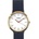 Arabians DPP2197A