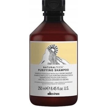 Davines Naturaltech Purifying Shampoo 250 ml