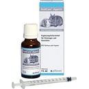RodiCare Immun 15 ml