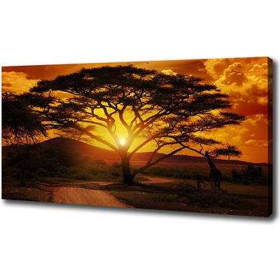 Foto obraz na plátne Západ Afrika 100x50 cm