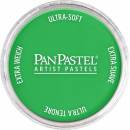 Panpastel 9 ml 640.5 permanent green