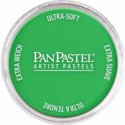 Panpastel 9 ml 640.5 permanent green