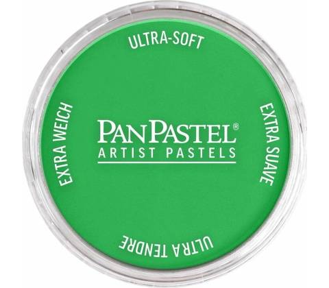Panpastel 9 ml 640.5 permanent green