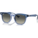 Ray-Ban RJ9098S 715911