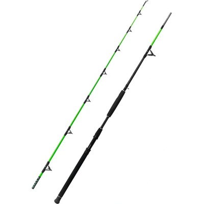 Delphin WALKYRA 2,6 m 850 g 2 díly