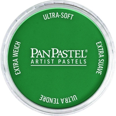 PanPastel Artists’ suchý pastel 620.3 phthalo green shade