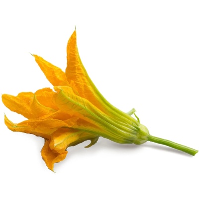 VÉritable (Франция) Пълнител (лингот) Zucchini Flowers Organic за настолна градина Véritable® - цвят от тиква (VLIN-F5-Cou015)