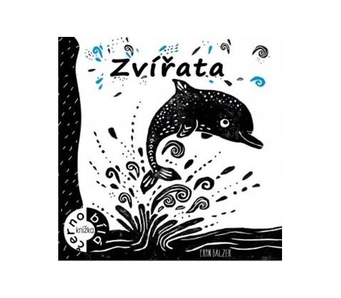 Zvířata