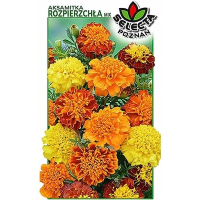 Aksametnica rozložitá plnokvetá mix 1 g