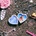 Hearts Hearts - Focus 2 CD