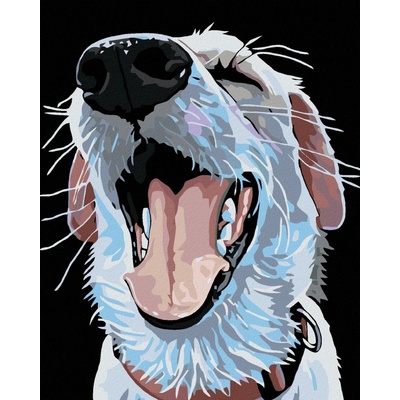 zuty Malování podle čísel Pes s červeným obojkem 40 x 50 cm vypnuté plátno na rám 8596530010333