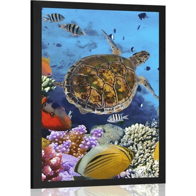 Plakát podmořský svět - 20x30 black
