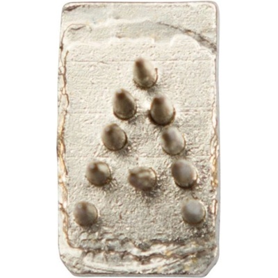 Kerbl Písmeno do tetovacích kleští 7 mm jednotlivé