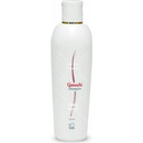 Ganozhi vlasový šampón s Ganodermou 250 ml