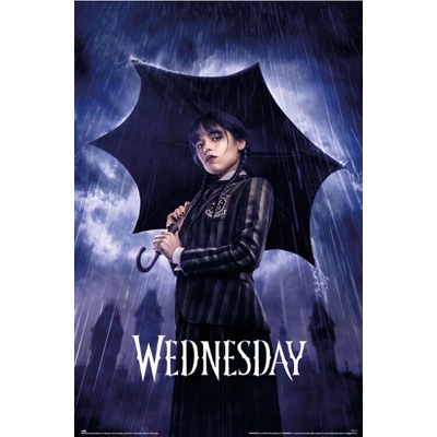 Plagát, Obraz - Wednesday - Umbrella, 61 × 91.5 cm