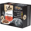 Krmivo pre mačky Sheba Select Slices in Gravy Šťavnatý výber 12 x 85 g