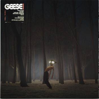 Geese - Projector (LP) (5400863056582)