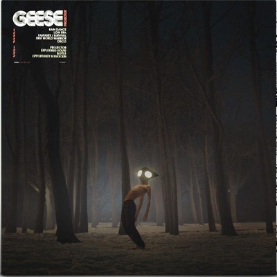 Geese - Projector (LP) (5400863056582)