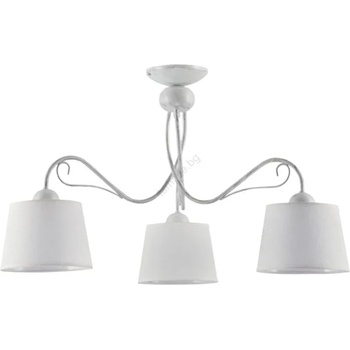 Image 1 of JUPITER KAMELIA 1349