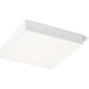RENDL R13267