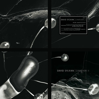 SYLVIAN DAVID - CAMPHOR II 2 Vinyl