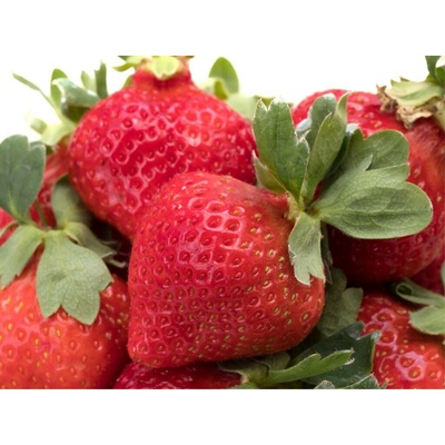 Jahodník 'Elianny' 12 ks raný Sazenice: Frigo sadba "A" standard 12 ks