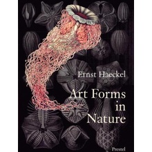 Art Forms in Nature E. Haeckel The Prints of Ern