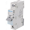 Hager MCS110
