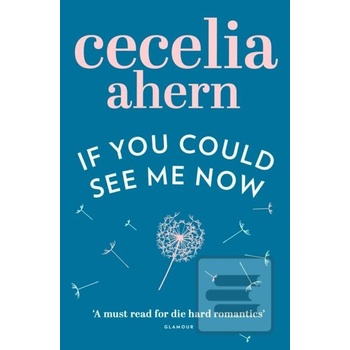 If You Could See Me Now - C. Ahern