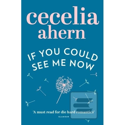 If You Could See Me Now - C. Ahern