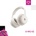 Apple Beats 360
