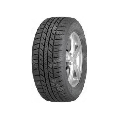 Bridgestone W01 110/590 R17