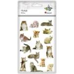TITANUM Stickers convex soft cats mix 15pcs