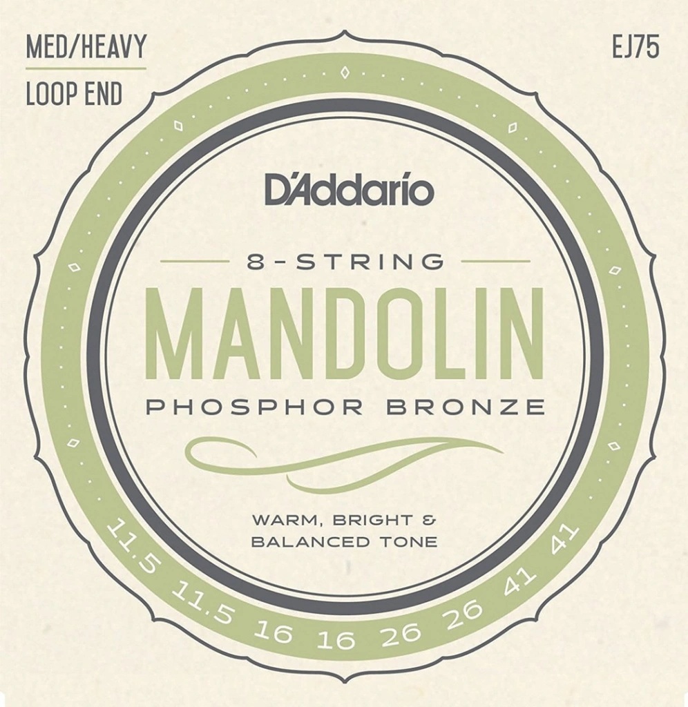 D'addario EJ75