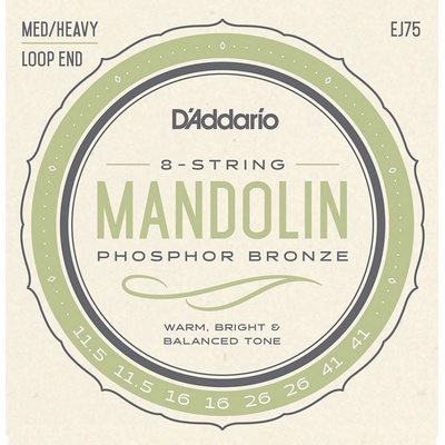 D'addario EJ75