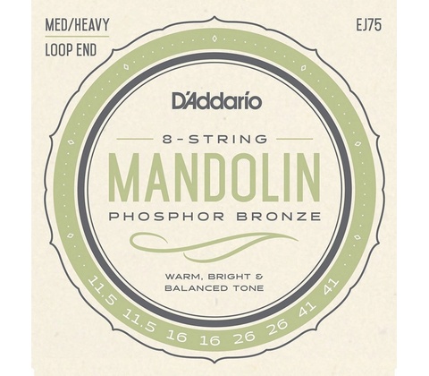 D'addario EJ75