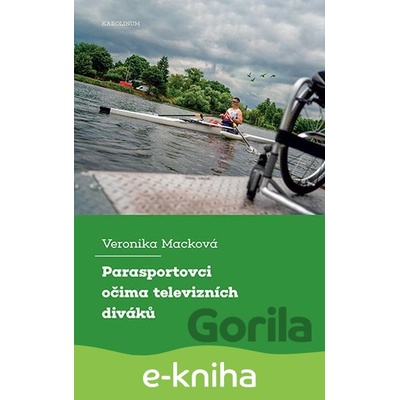Parasportovci očima televizních diváků