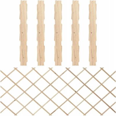 Nabytek XL Trelážové ploty 5 ks masivní jedlové dřevo 180 x 80 cm