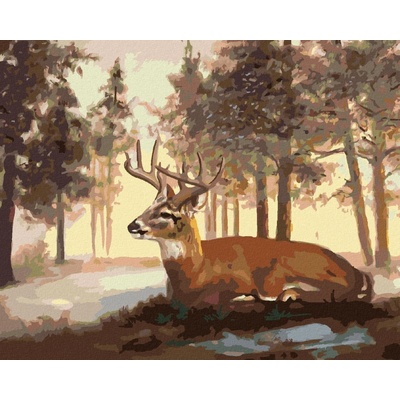 zuty Malování Podle Čísel Ležící Jelen A Zimní Krajina D. Rusty Rust 40 x 50 Cm Plátno Rám