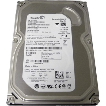 Seagate Barracuda 7200.10 250GB, SATAII, ST3250310AS