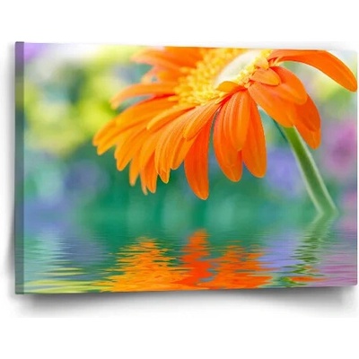 Sablio Obraz Oranžová gerbera - 60x40 cm