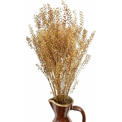 Řeřicha (Lepidium) přírodní sušená svazek