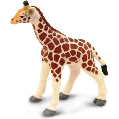 Safari Ltd Safari® Жирафче