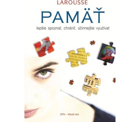 Pamäť