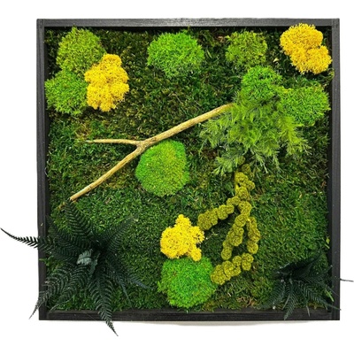 Mechový obraz mini nature Velikost: 40x40cm