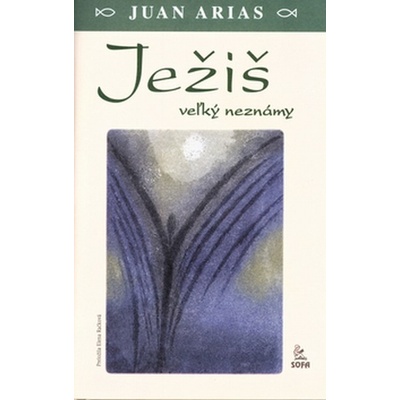 Ježiš veľký neznámy - Juan Arias