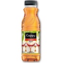 Cappy jablko 100% 12x330ml