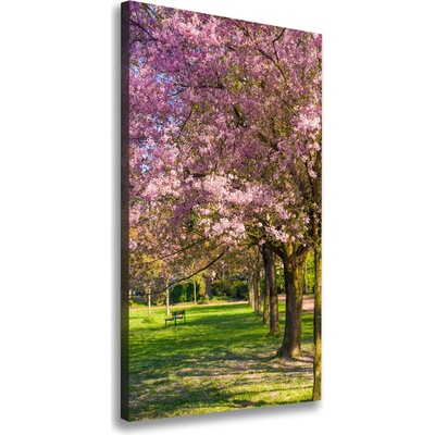 Vertikálny foto obraz canvas Višne 50x100 cm