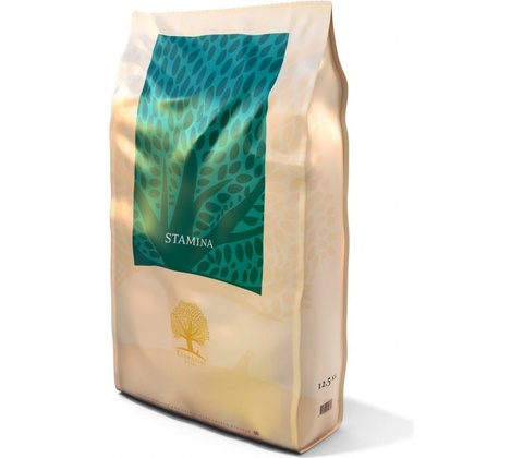 Essential Stamina 10 kg