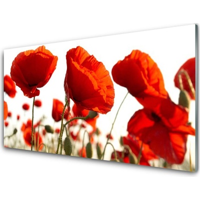 Obraz na skle Tulipány Květiny 100x50 cm